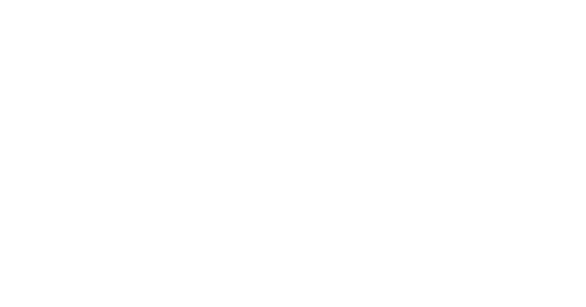 FlyBharath